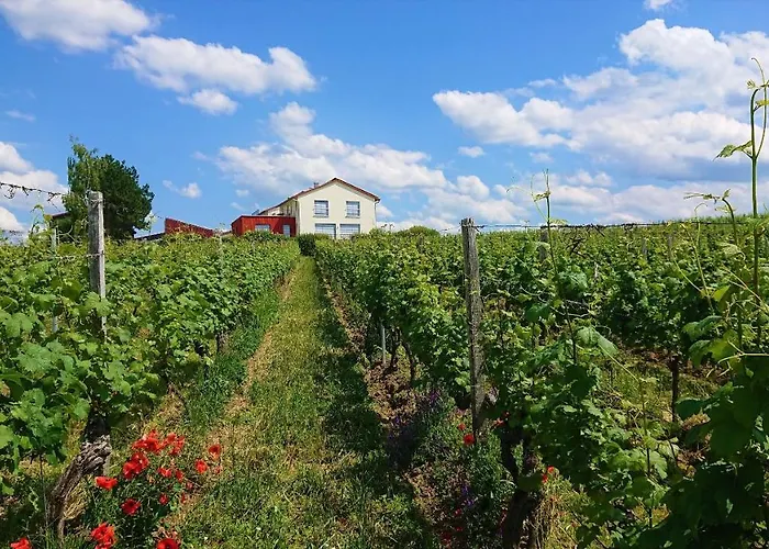 Weinbergshof Rickel