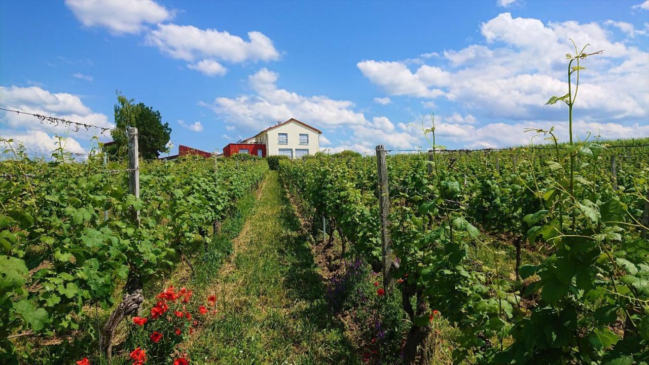 Apartment Weinbergshof Rickel