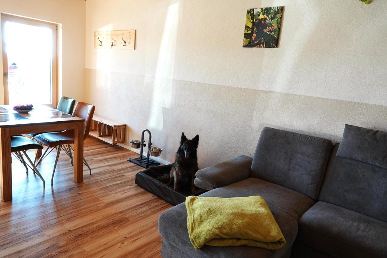 Apartment Weinbergshof Rickel Kitzingen