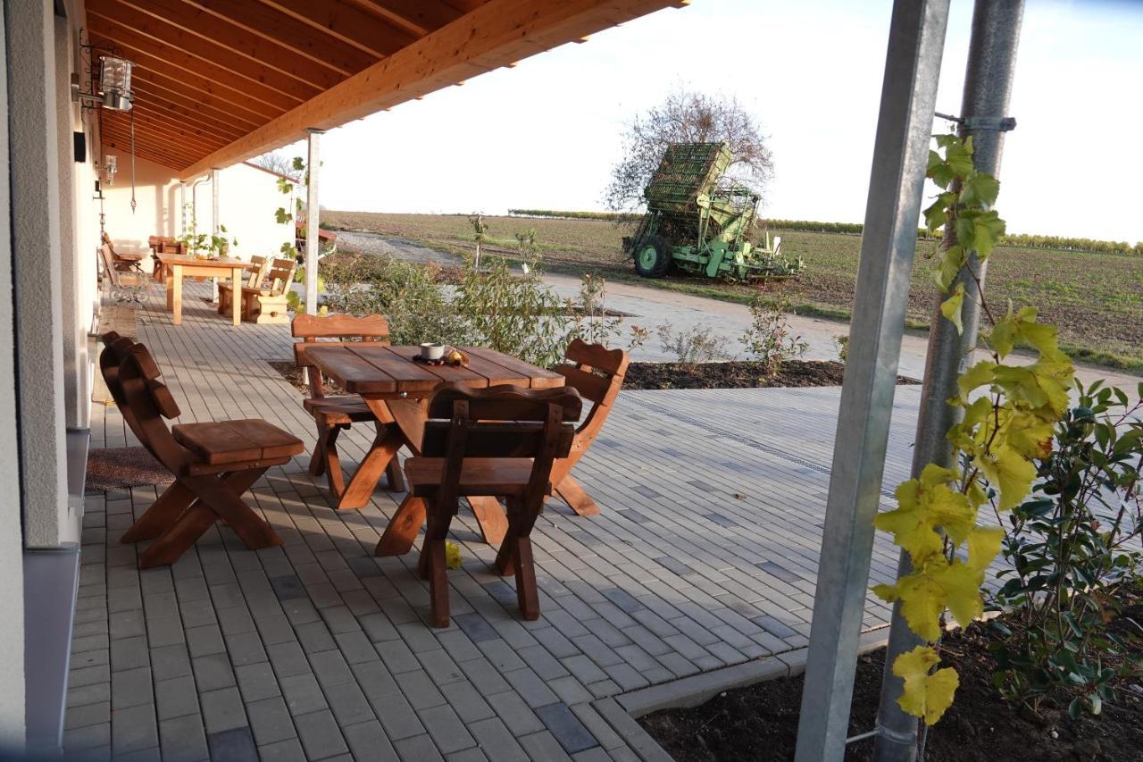 Apartment Weinbergshof Rickel Kitzingen
